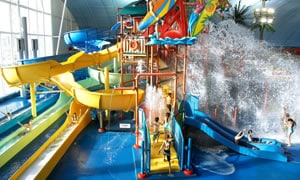 Have some Family Day fun at the Fallsview Indoor Waterpark in Niagara Falls.