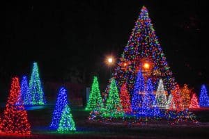 Winter Festival of Lights Christmas Tree display 