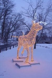 Winter Festival of Lights Deer