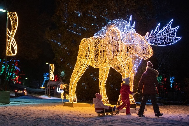 Embracing The Romance Of The Niagara Falls Winter Festival Of Lights